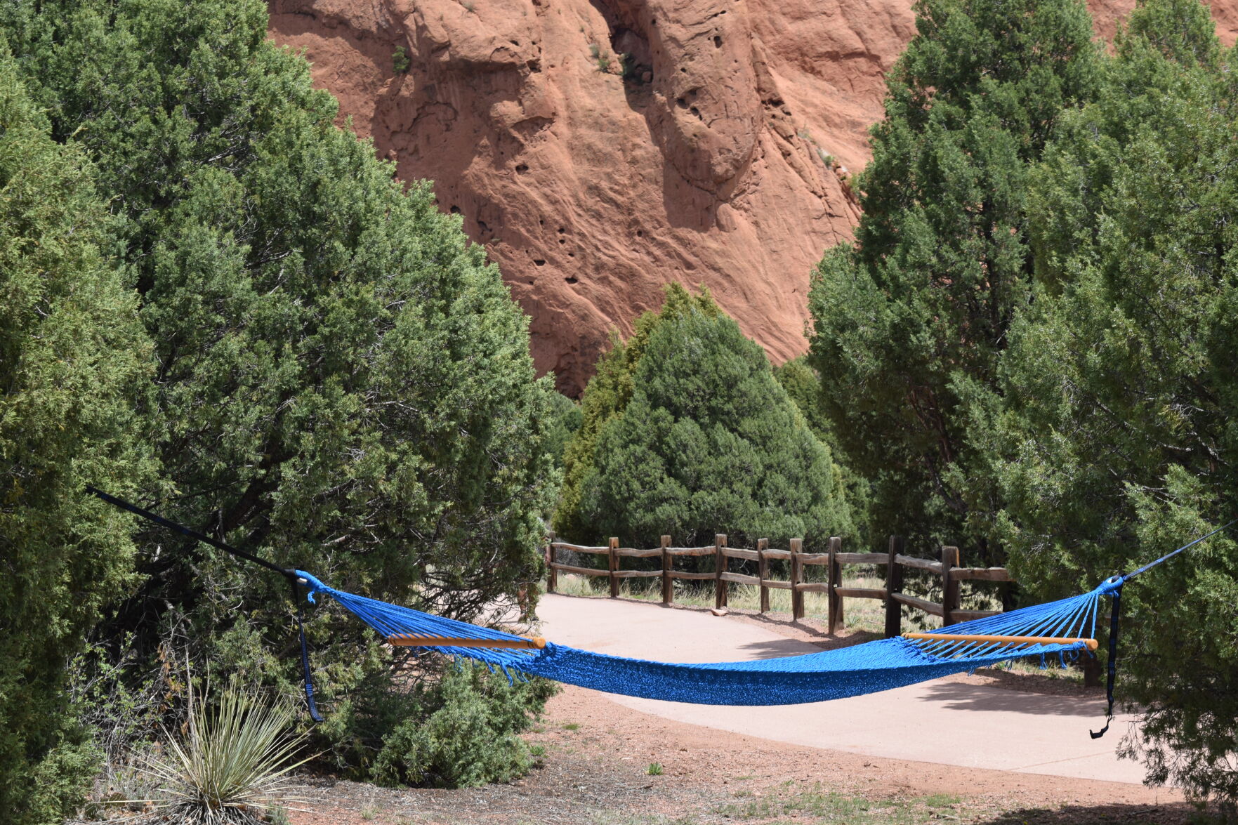 112722 hammock.JPG